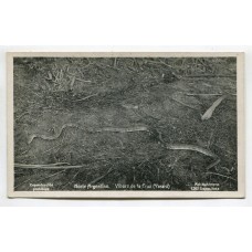 NORTE ARGENTINO ANTIGUA TARJETA POSTAL VIBORA DE LA CRUZ YARARA